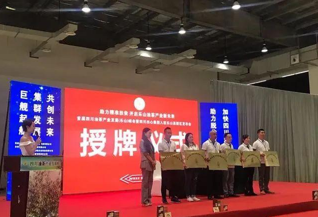 杰心：打造油茶品牌全产业链 带领群众共同走在致富增收路上