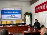 羊肚菌高效栽培技术观摩培训会在成都东部新区举办 助力乡村振兴