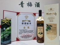 大和红梅酒业西岭雪山下生态酿酒 青梅酒获得酿酒质量大赛“金奖、银奖”
