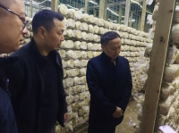 四川省微生物学会专家调研服务食用菌企业 共促食用菌产业发展乡村振兴