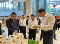 四平玉米产业发展渐入佳境 携手央企锚定高质量发展新航道